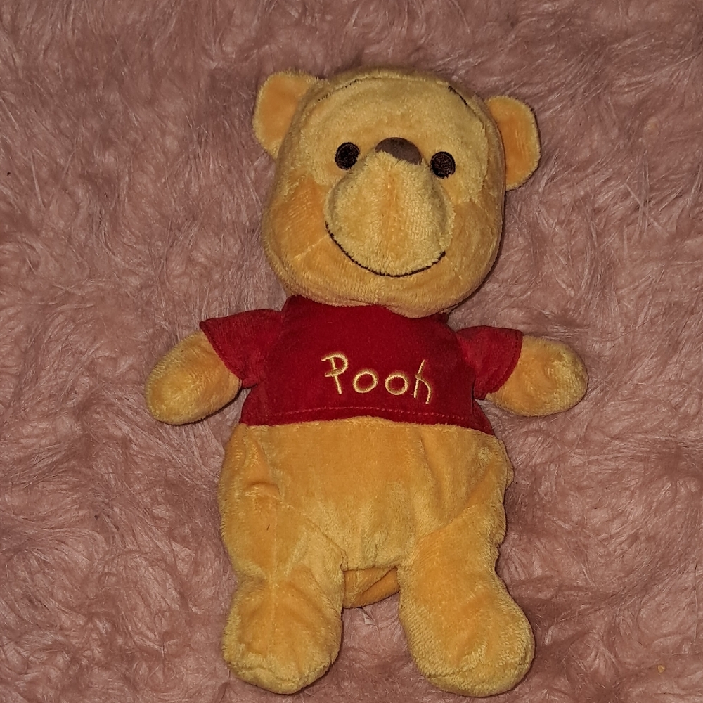 Disney Winnie The Pooh Ty - Picture 1 of 3